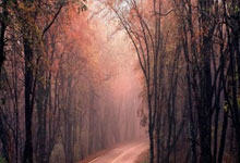 葡萄牙队10名球员面临染黄次回合停赛风险，C罗、B席在列.