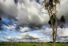 唇语专家何在？解读廷贝尔和马雷斯卡说了些啥.