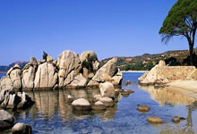 九游官网：一场马拉松“跑”出的消费账单.